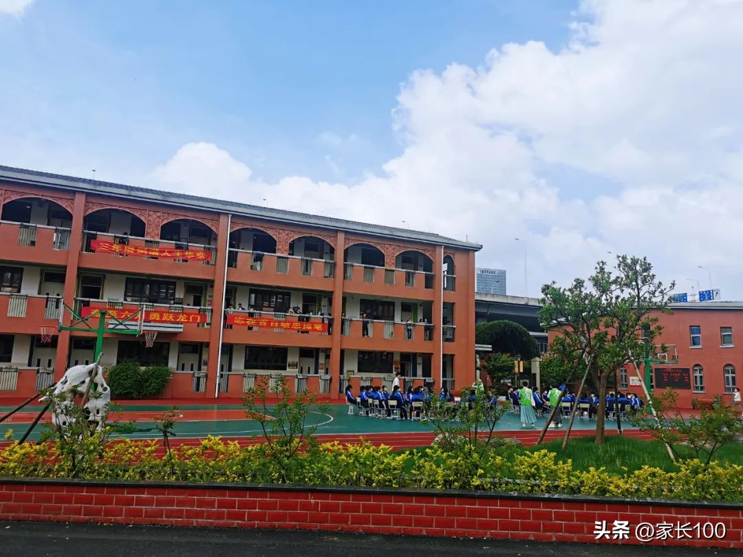 填报志愿可以冲两所高分学校吗,填报志愿冲的学校怎么选录取率高