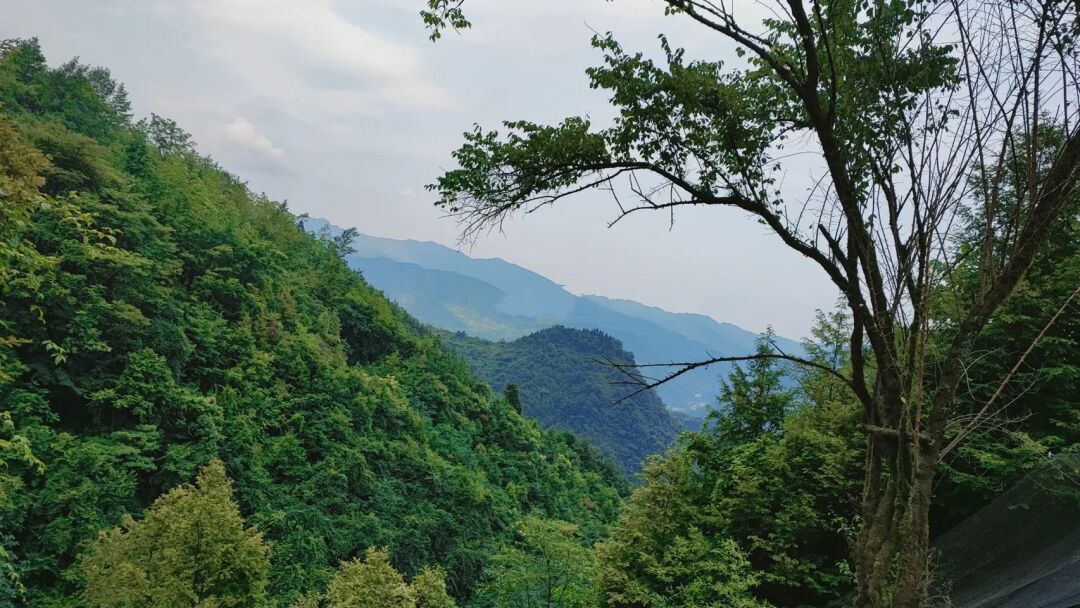 避暑旅游景点看山看水,清凉避暑好去处雪溪洞一日游