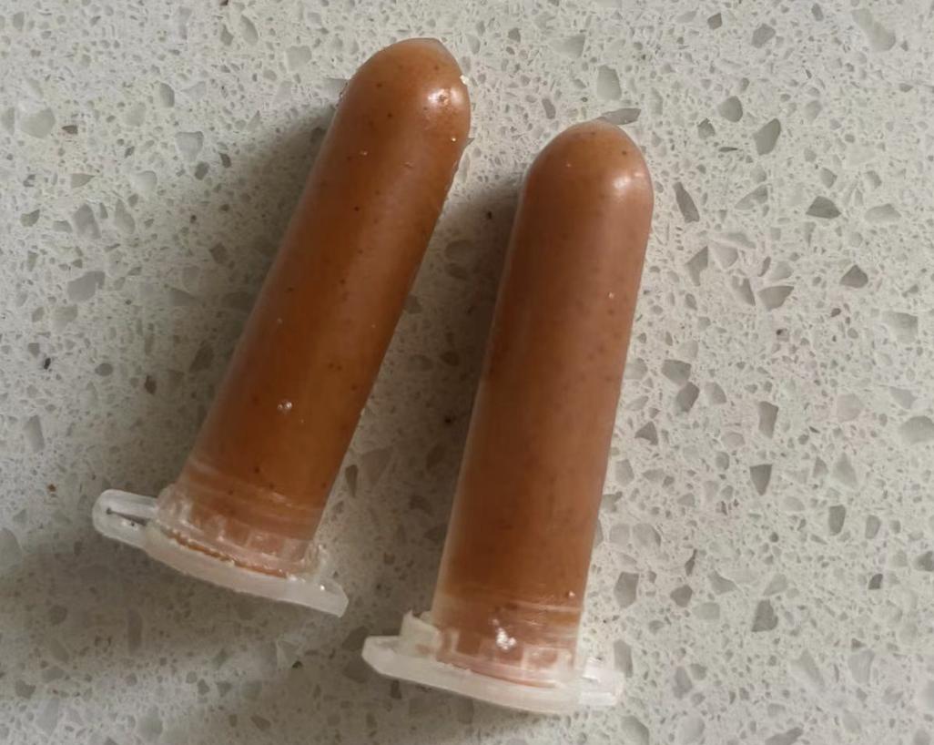 孔雀鱼的幼鱼饲养方法视频,如何饲养热带鱼孔雀鱼幼鱼