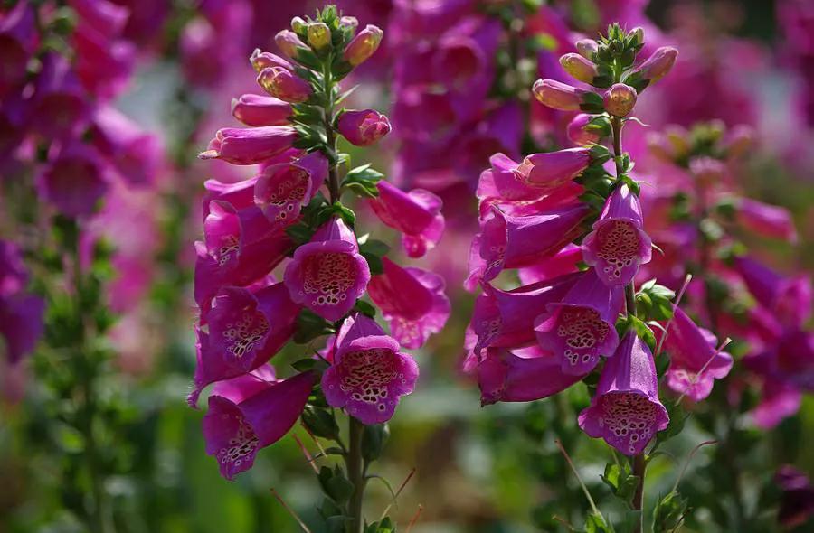 一文带你了解真相,一文看懂真相