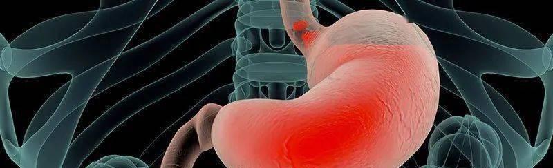 章泽天肚大如萝身材变化令人惊叹，露出不到3厘米的腿间距