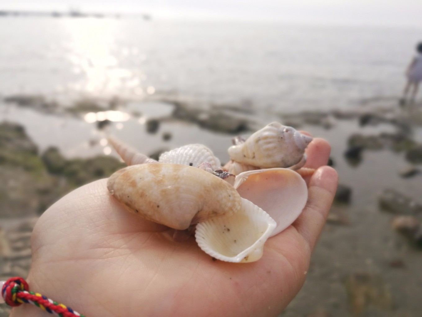地图迷穷游中国之北海,穷游北海怎么玩