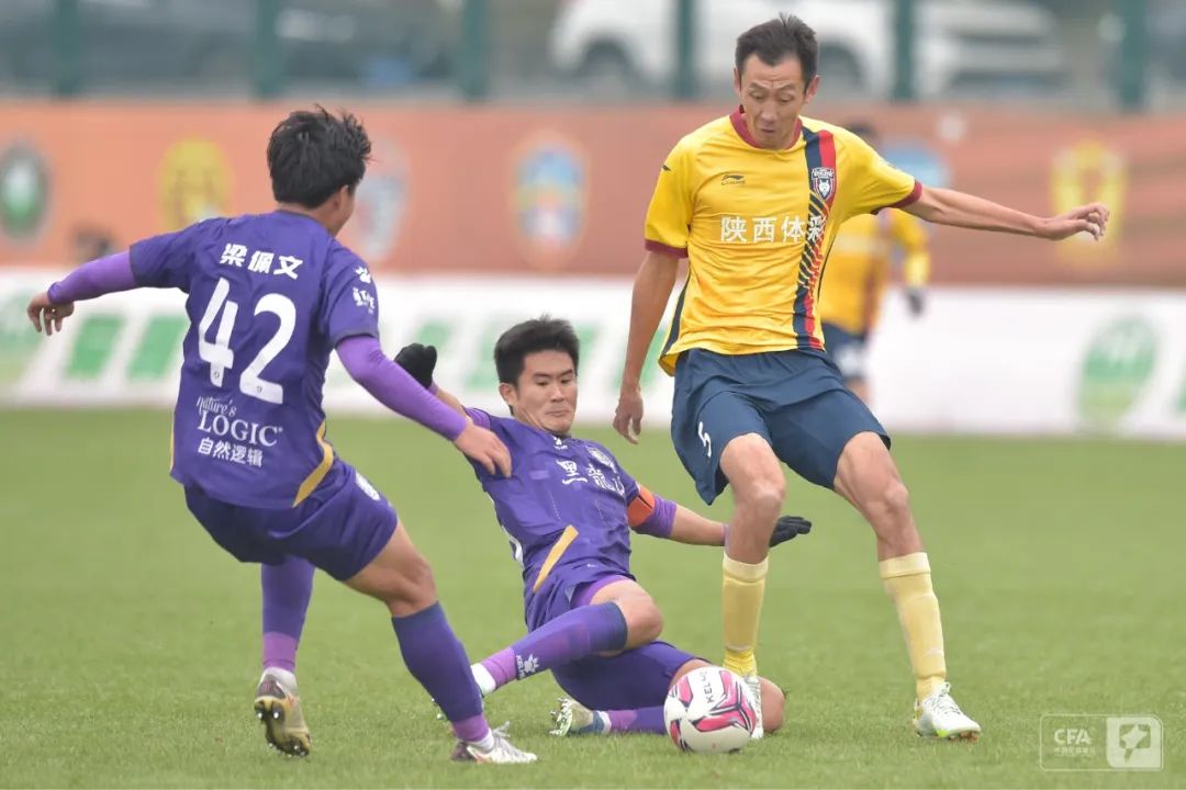 西北狼遭遇生存危机,西北狼球队最新消息