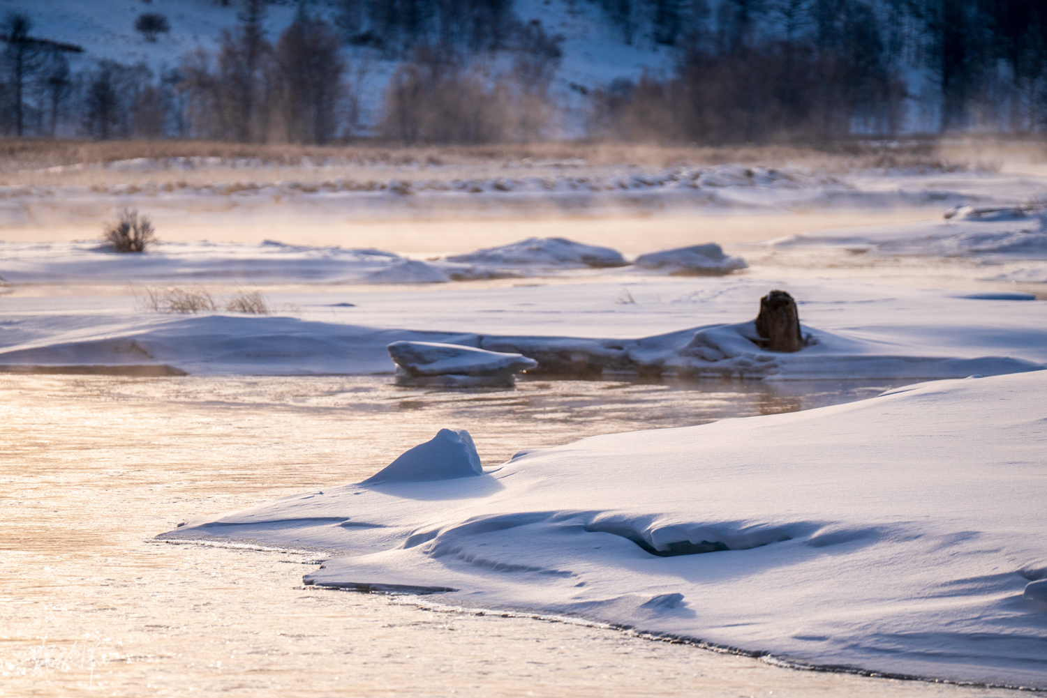 我的2022年度报告,我的2022原版