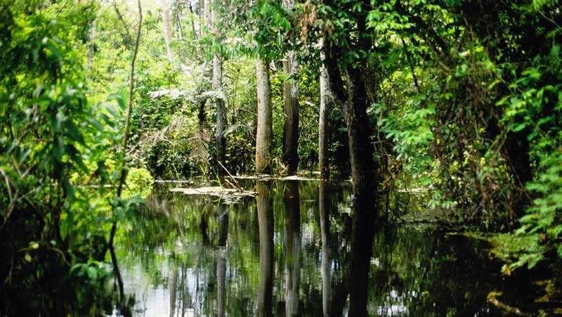 一分钟了解里约,一分钟了解波尔多