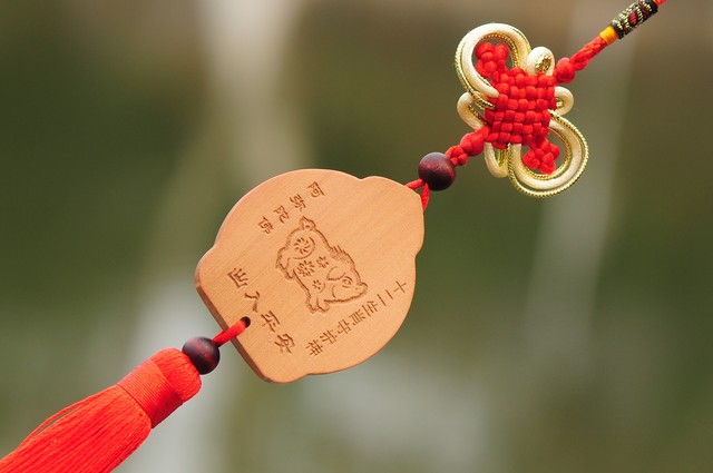 7月5号属猪的财运如何,1971年属猪的人怎样摆脱霉运