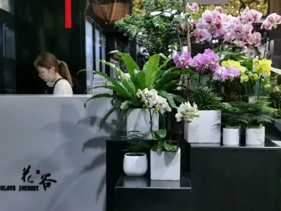 日本青山花店商业模式,引领花艺潮流的十二家花店