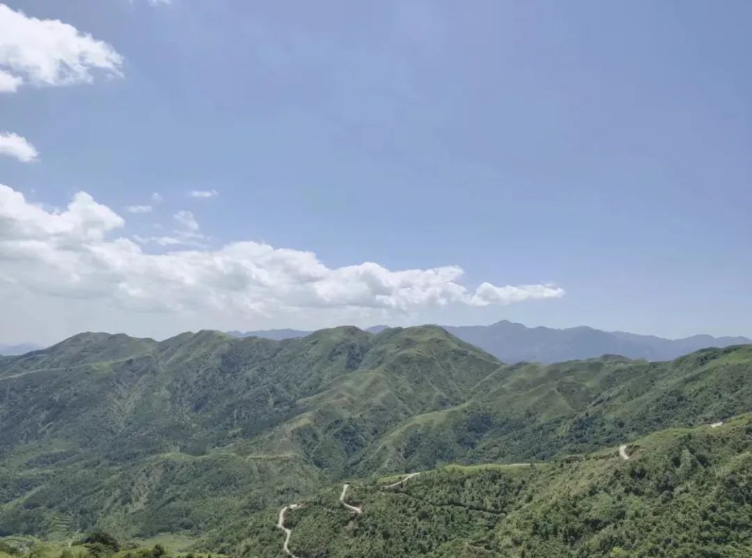 广东阳江幸福宜居之城,泸州最宜居的地方