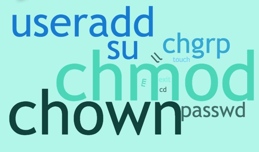 linux鐭ヨ瘑骞茶揣,鐪嬪畬杩欑瘒浣犱竴瀹氳兘鎺屾彙linux