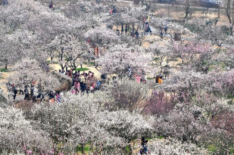 上海最热门的20个景点,五一上海十大热门景点