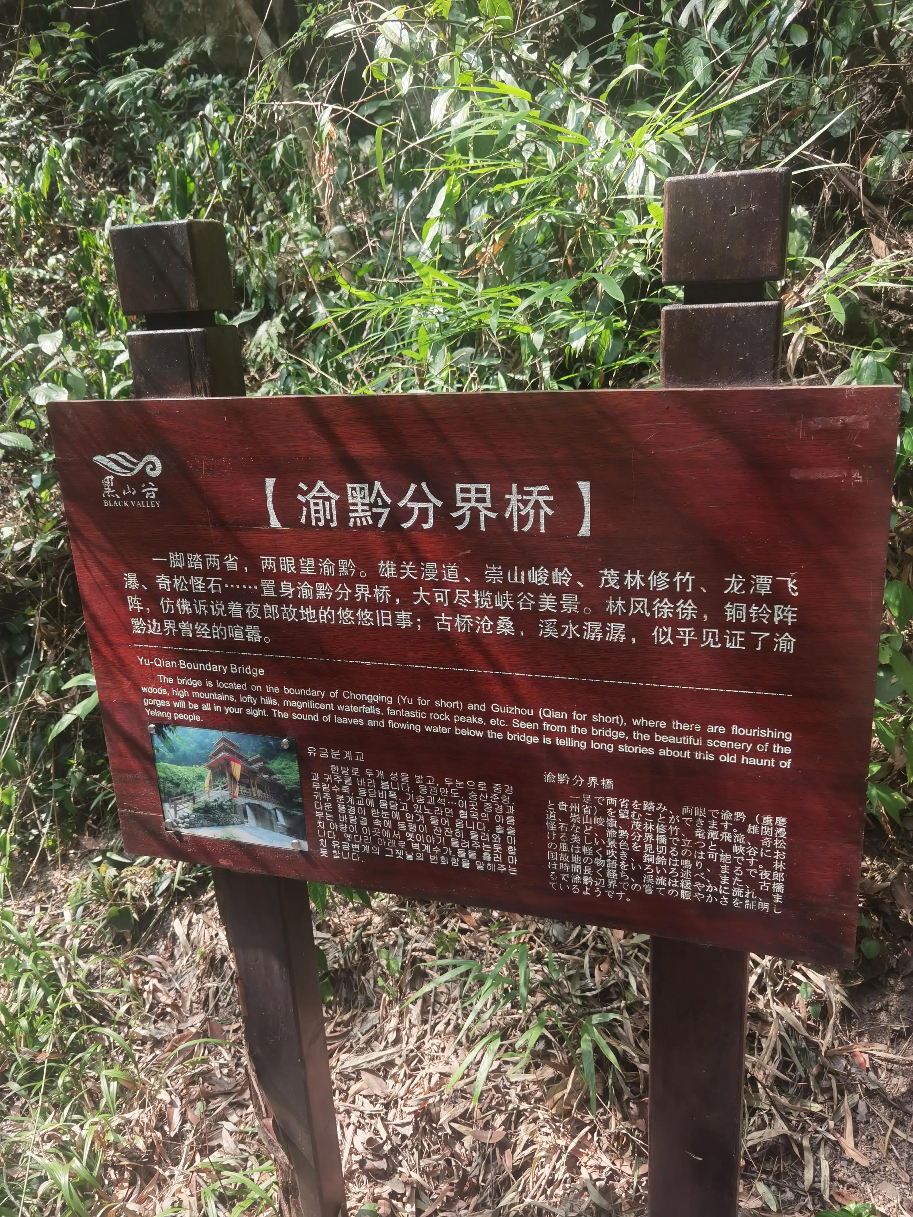 重庆到黑山谷的交通路线,重庆黑山谷旅游攻略美景图片