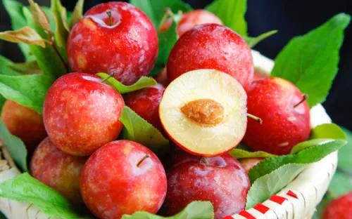 进口水果当季热卖,冬季进口水果大全