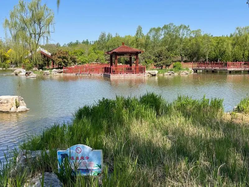 武清津北森林公园还开放吗,天津武清津北森林公园好玩吗