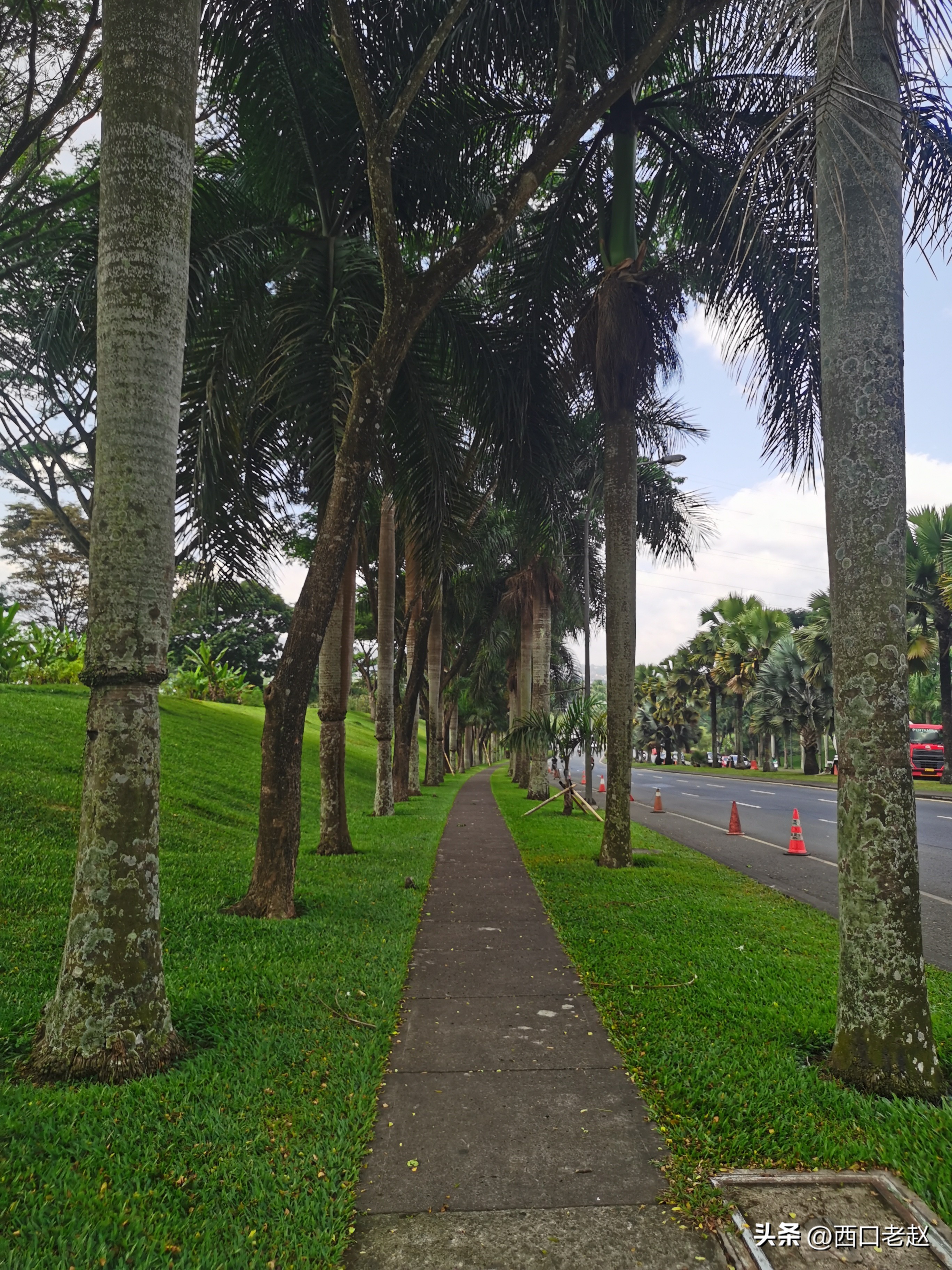 行走在国外的岁月33——致敬我的海外生涯