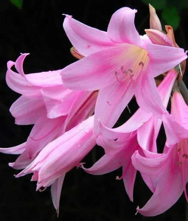 唯有坚强才能战胜困难,唯有坚强才能过得更好