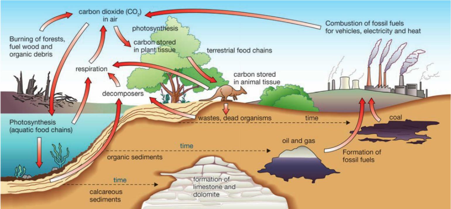 2023年十大高薪职业预测,2023年最有发展空间的职业