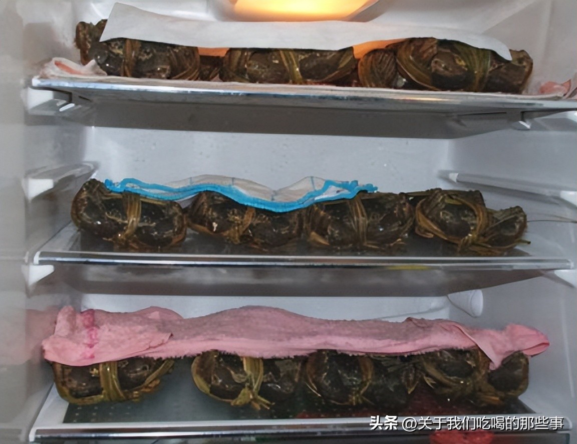 保存螃蟹怎么蒸熟冻好,活螃蟹直接放冰箱冷冻后还能吃吗