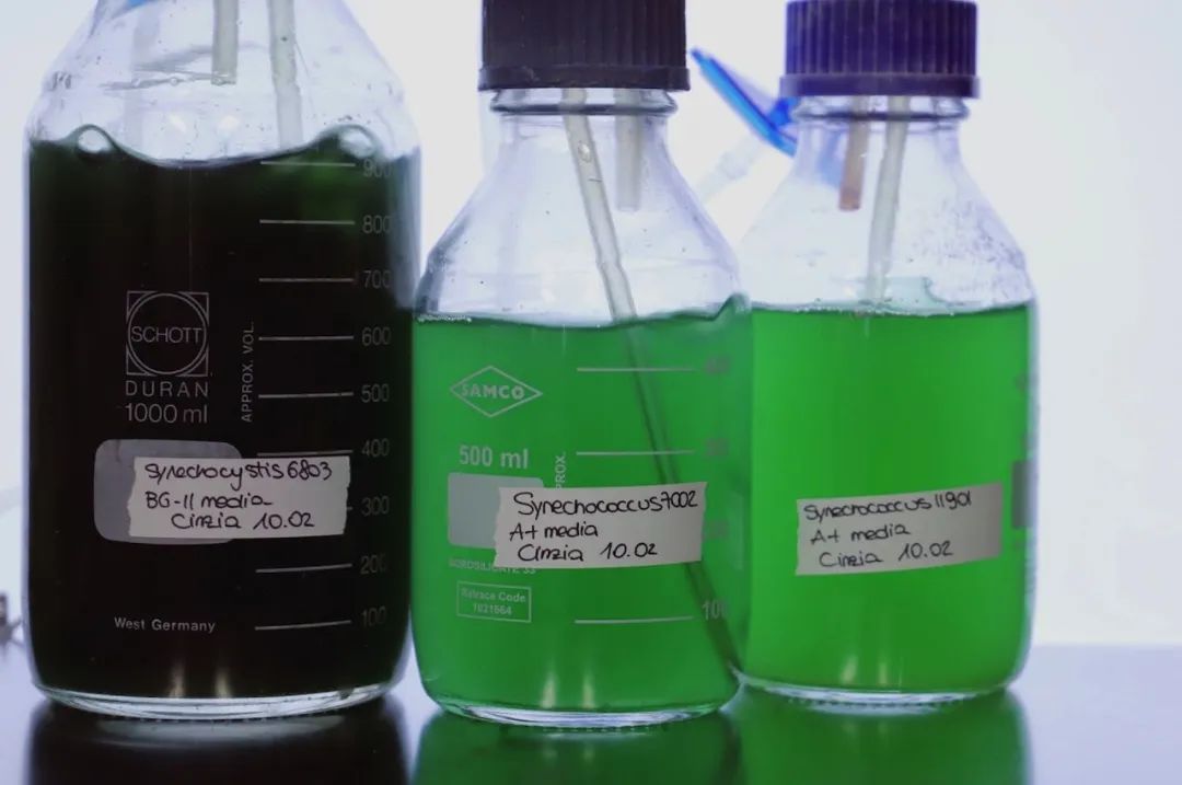 10种成功的产品设计,可持续发展的设计产品