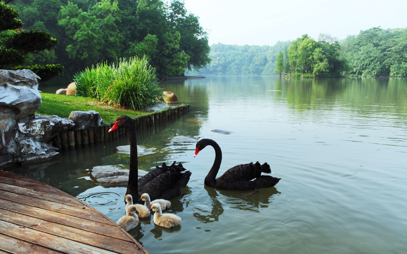 上海|西郊宾馆逃离人从众，五一专属度假酒店tips！