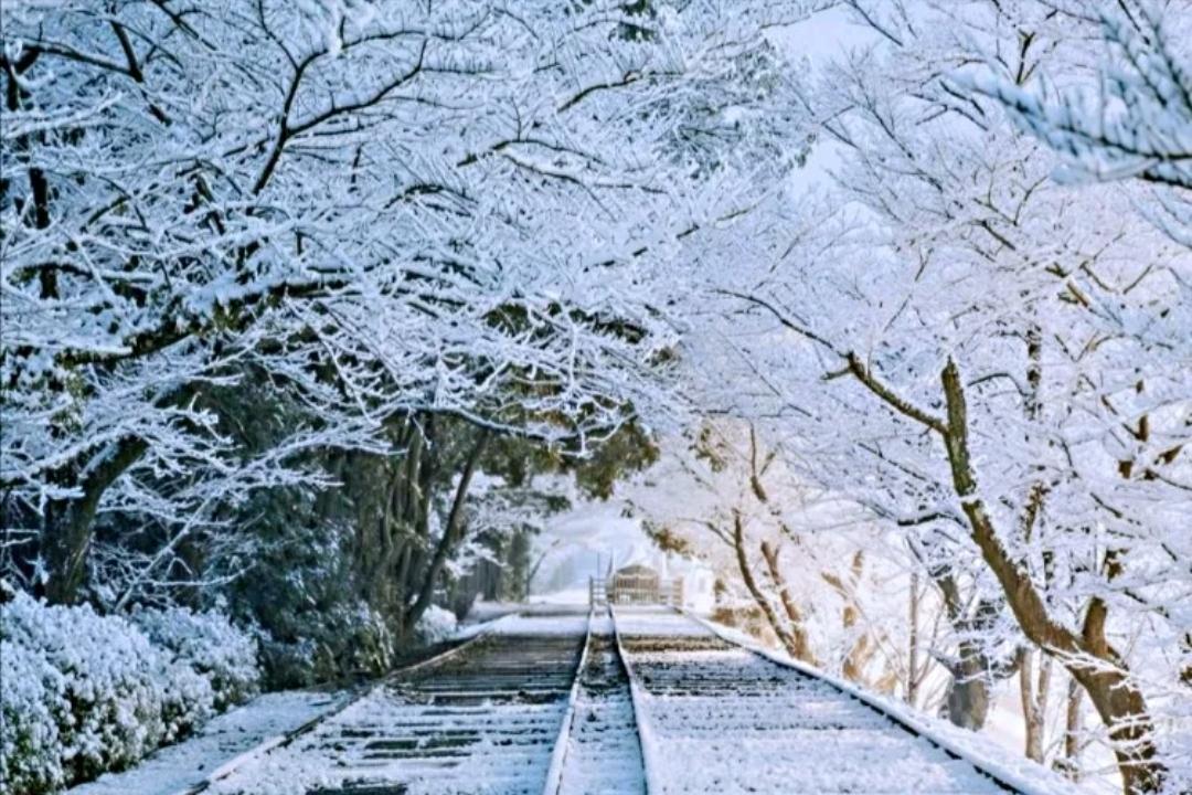 少数民族预科班算高分吗,高考少数民族预科班录取规则