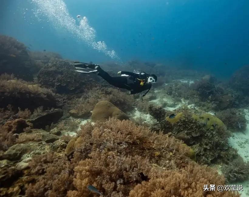 生活冷知识大全1000条,生活中这些冷知识你都知道吗