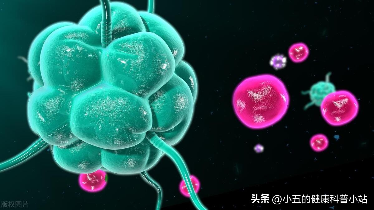 老年人提高免疫力吃什么药物,老年人提高免疫力吃什么药效果好