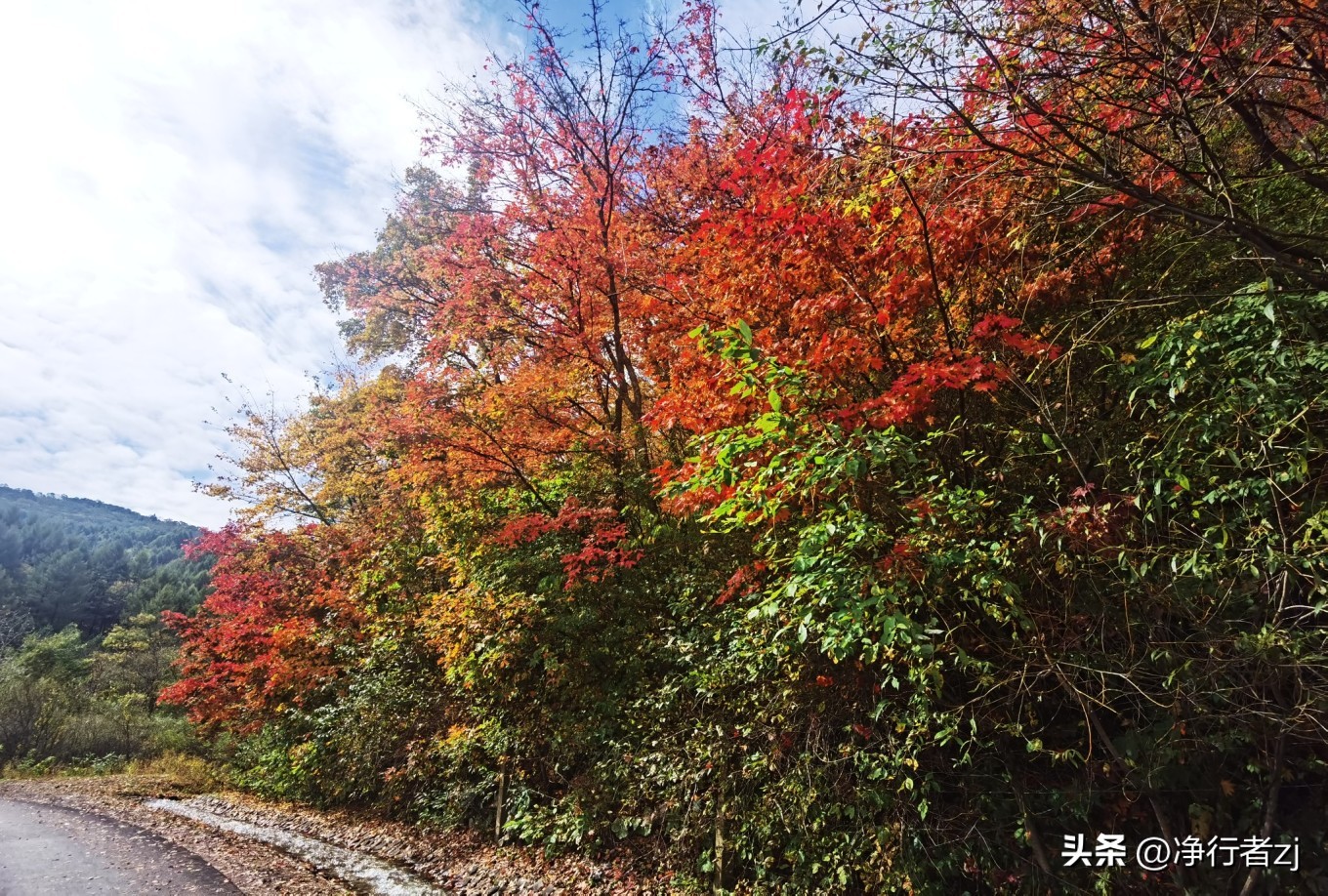 图们江口岸游记,从图们市到牡丹江自驾游