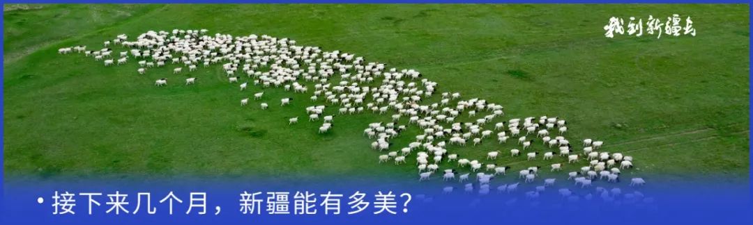 入疆旅游攻略,环疆旅游攻略大全