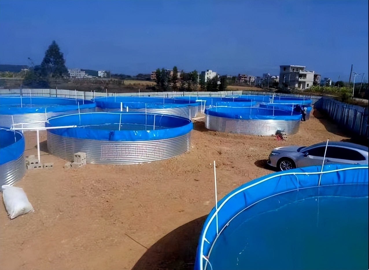 镀锌板养殖帆布鱼池厂家高效高密度循环水养殖池鱼池帆布厂家