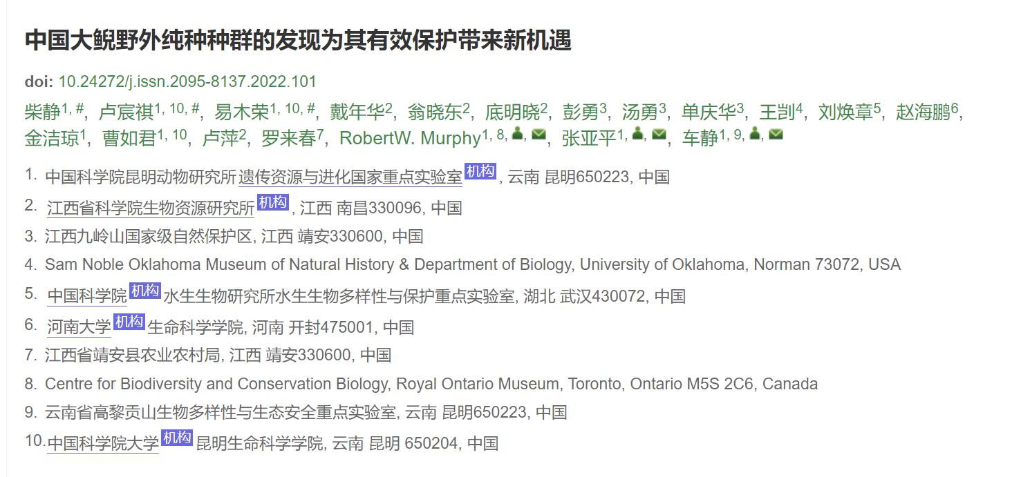 中国的娃娃鱼图片和特征,我国发现纯种野生娃娃鱼