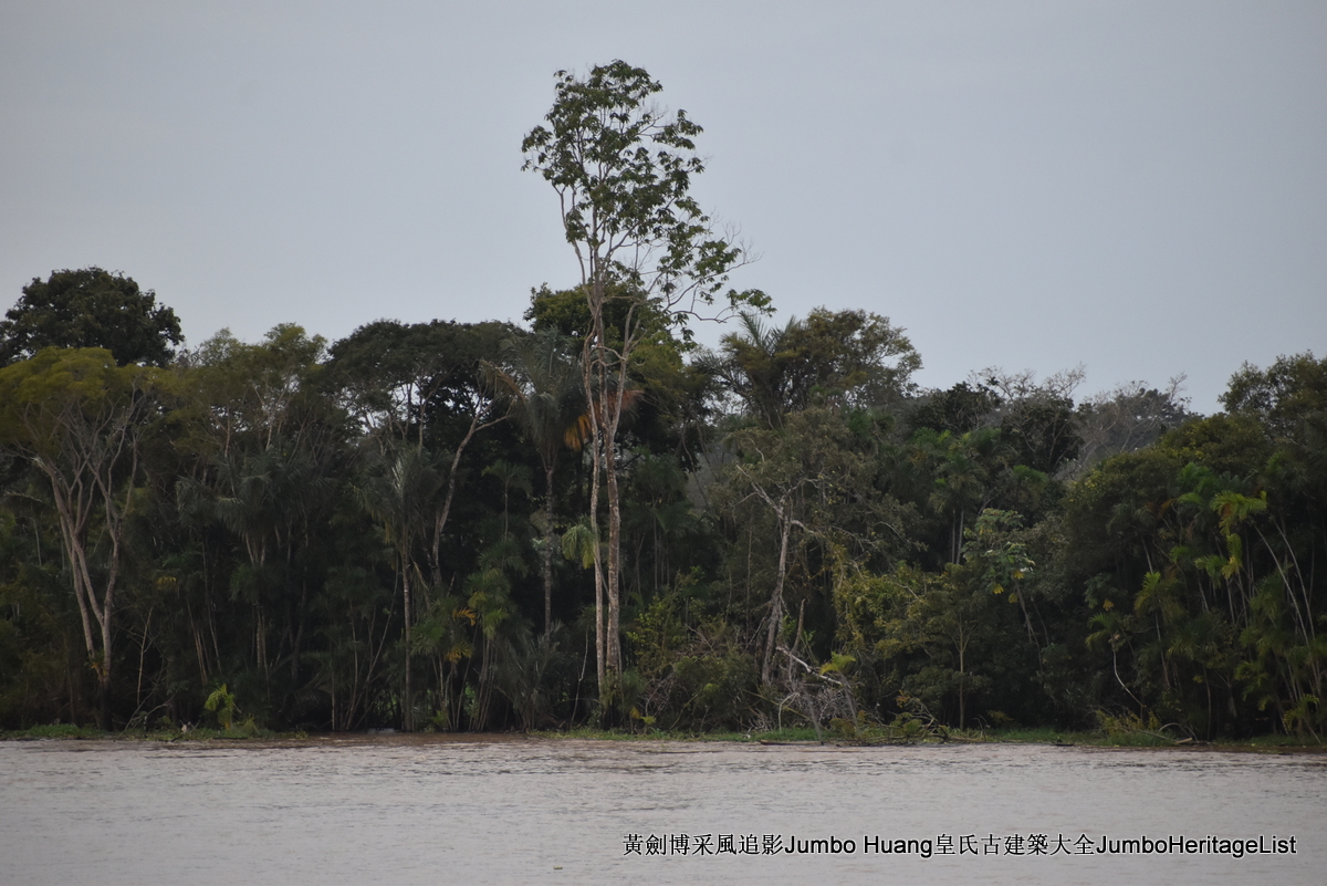 第5047回：消失的亚马逊文明，流失的林下聚居地