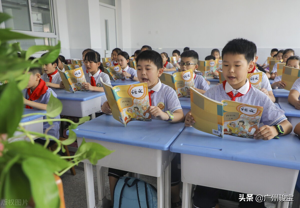 积分入学填报需要哪些资料,积分入学填报志愿填小区学校