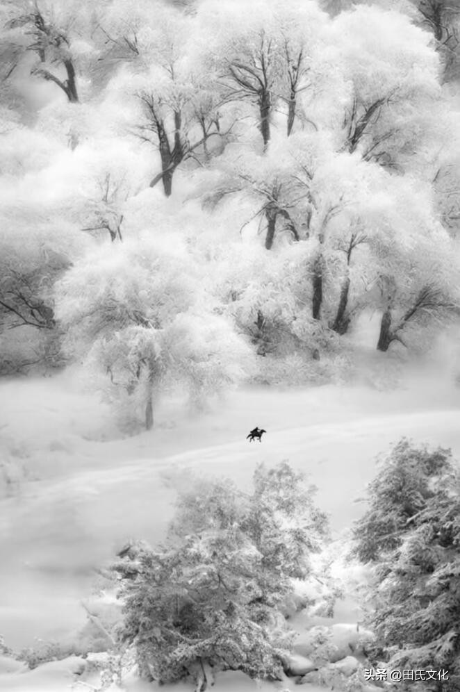 鐢版皬鏂囧寲缃戠粶骞冲彴,鐢版皬鏂囧寲浼犳壙骞冲彴