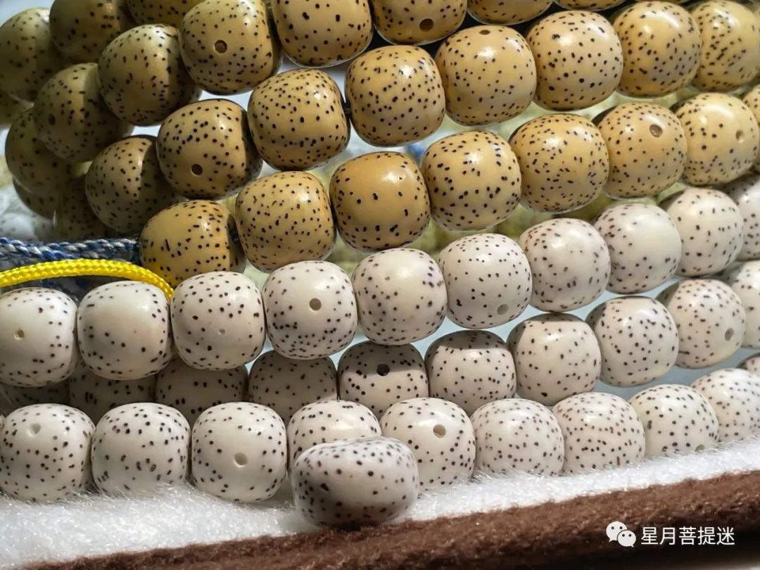 星月品类,星月品类介绍