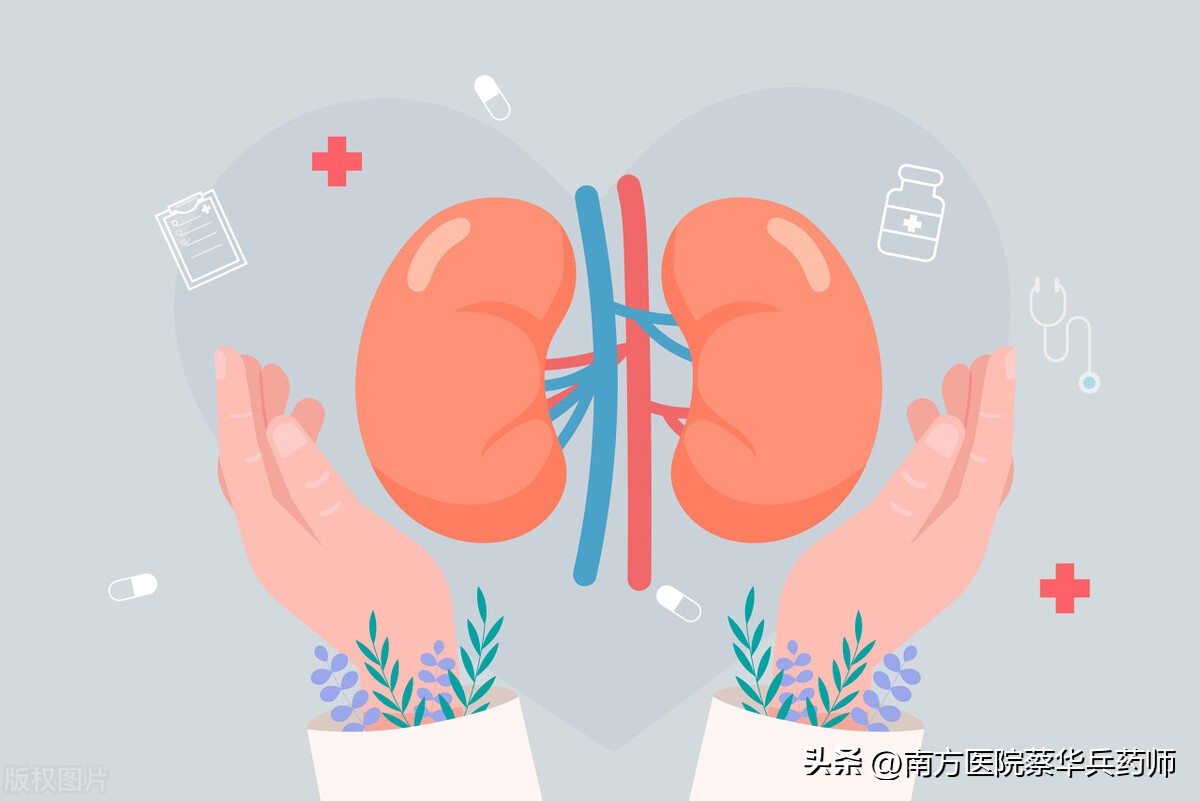 每个人的“第一件衣服”是补药:上益肺气，中养血气，下温肾气