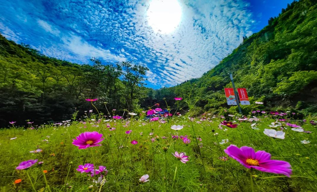 身份证号3703开头是哪里,身份证3703开头是哪里