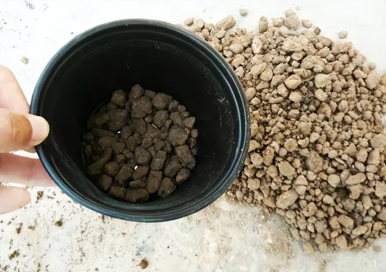 养花时花盆底下的小洞可以堵上吗,花盆下面垫个塑料盆会烂根吗