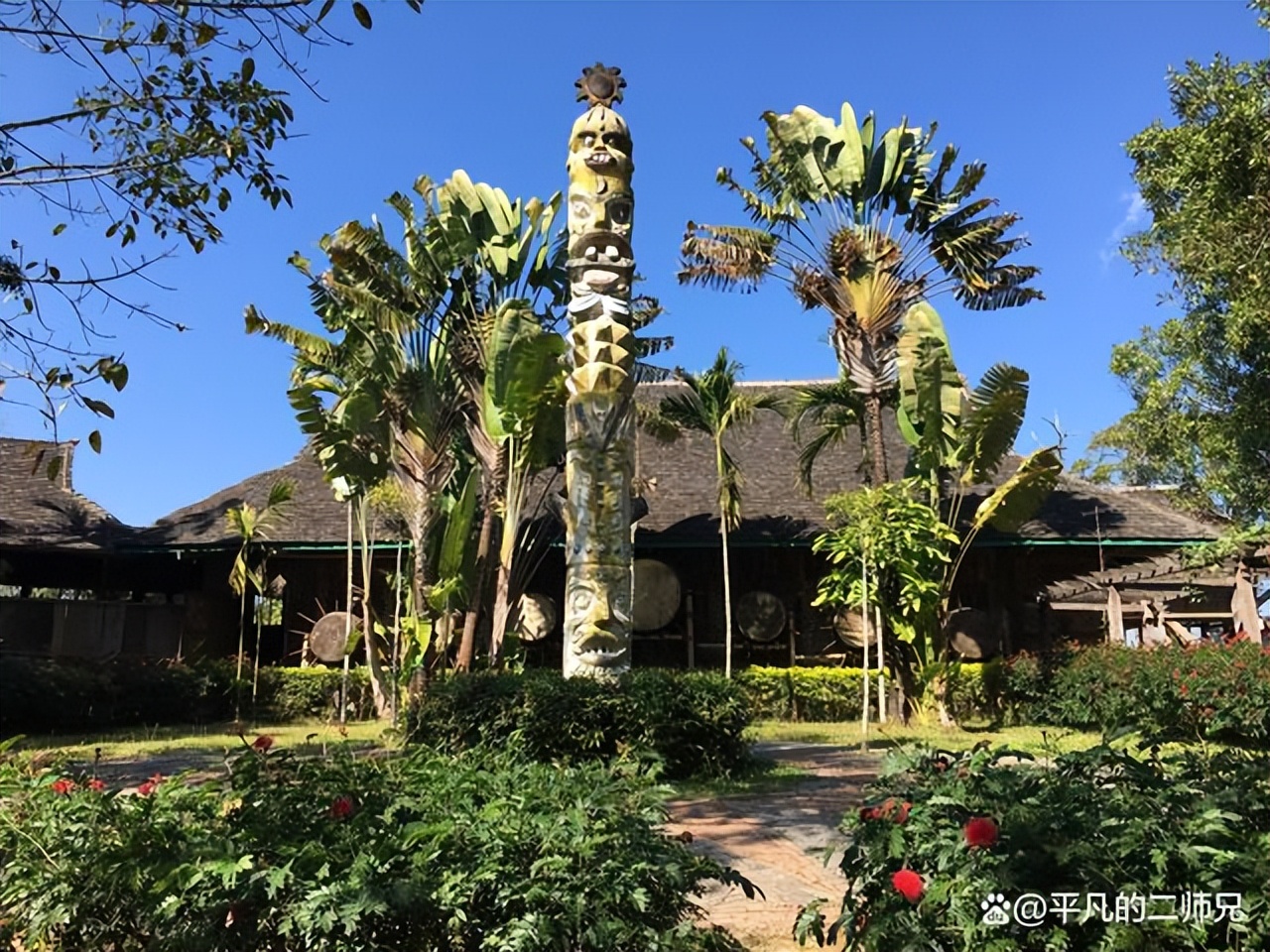 小众旅游景点西双版纳动物园,西双版纳动物多的景点