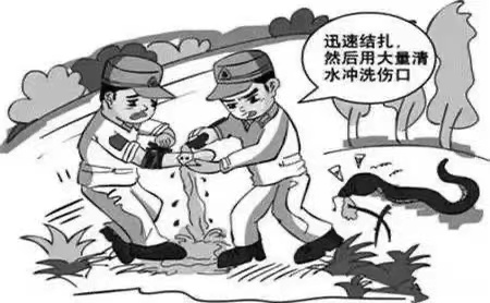 意外急救方法大全,意外事故如何保命