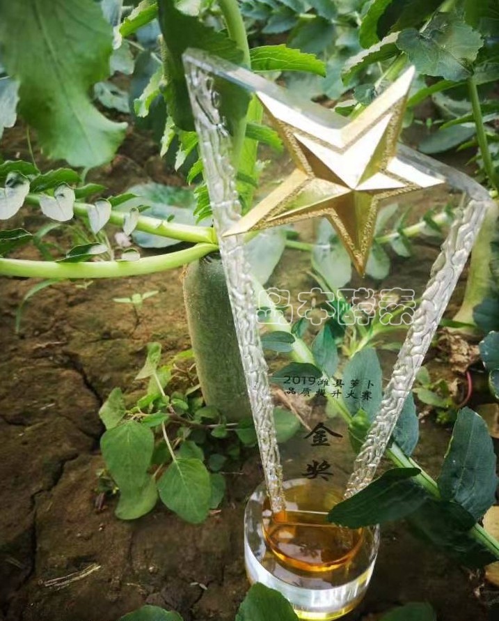 岛本酵素微生物肥料厂家,岛本酵素生物肥料