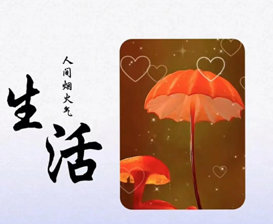 写在世界读书日:读书很苦,读着读着就甜了