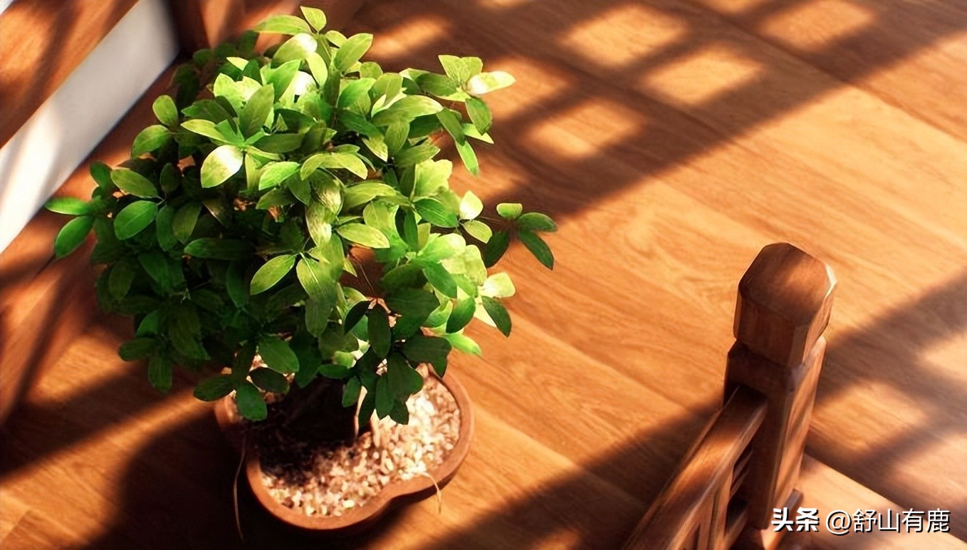 人生命运定吉凶,出生年月吉凶分析