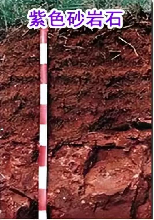 赖茅酒97年香港回归纪念版多少钱,97香港回归版赖茅酒现在值多少钱