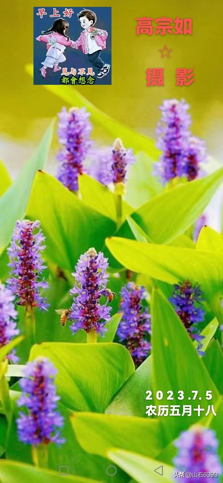 【战友美文】丁献礼“小诗余味”39：《晒黄瓜干》