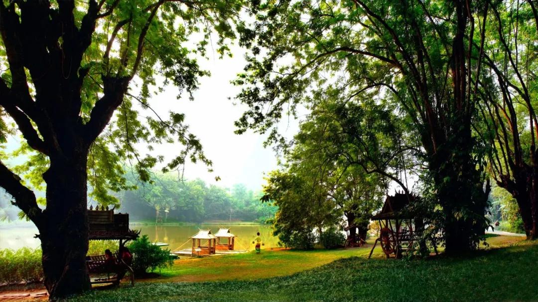 云南西双版纳旅游攻略app,云南西双版纳旅游攻略自由行12月