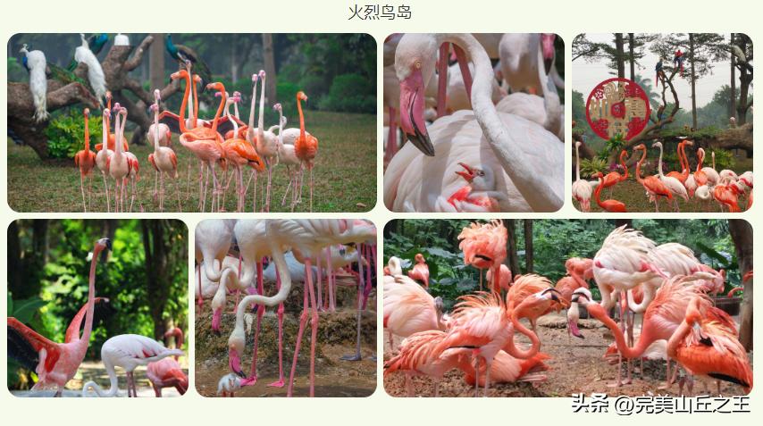 广州5a景区正佳广场,广州5a景点排名大全