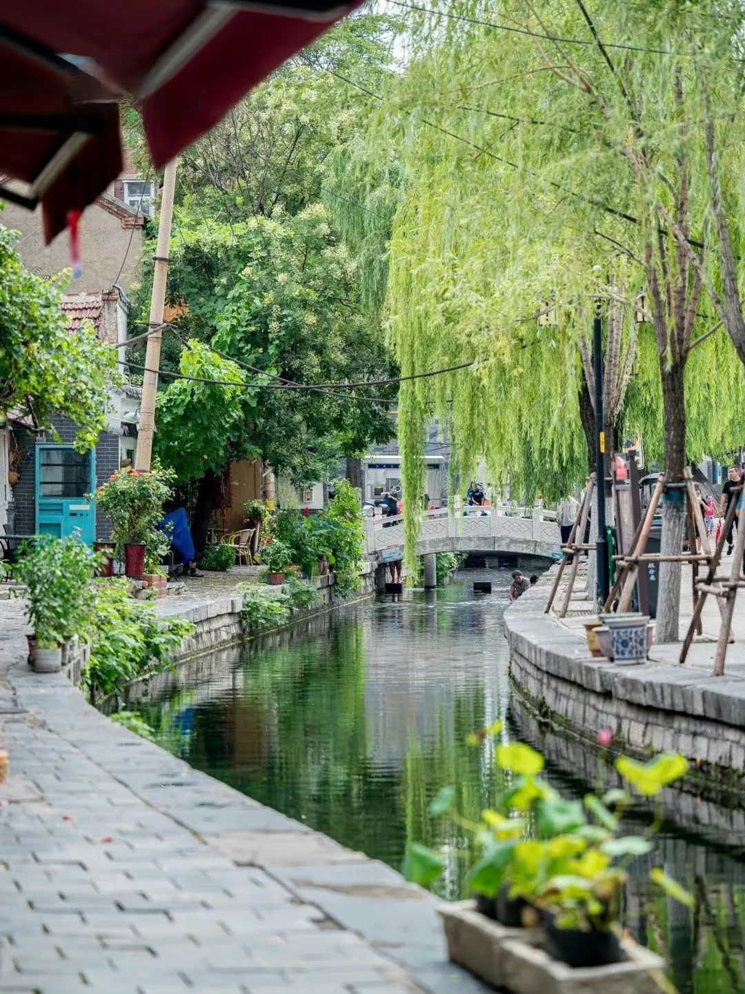 济南适合自由行的地方,去济南必去的三个地方