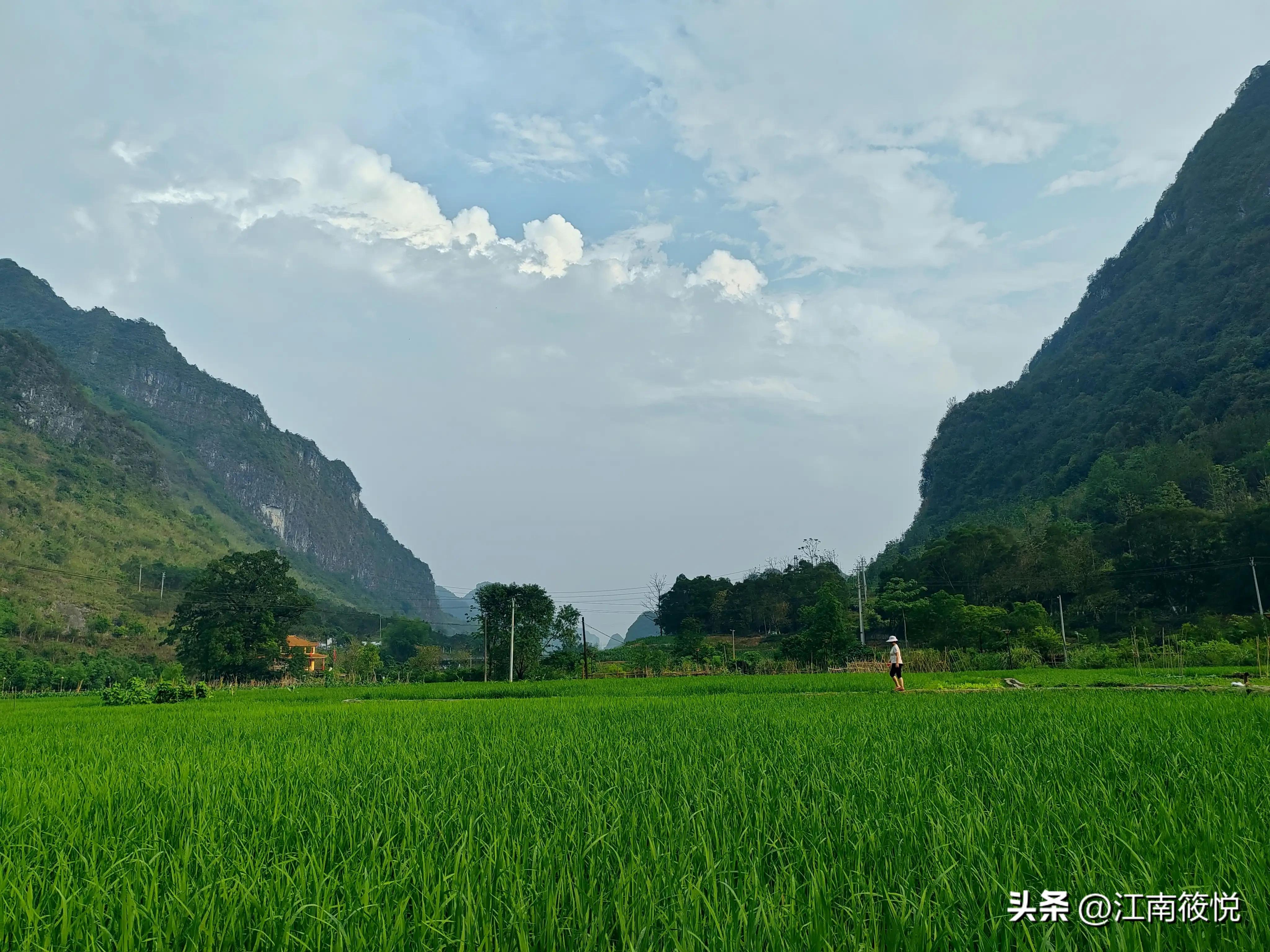 巴马日记怎么写,巴马养生日记