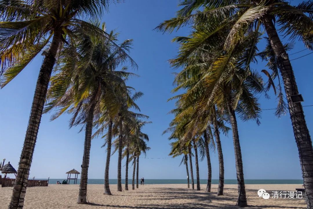 海南分界洲旅游攻略,海南乐东龙沐湾旅游攻略