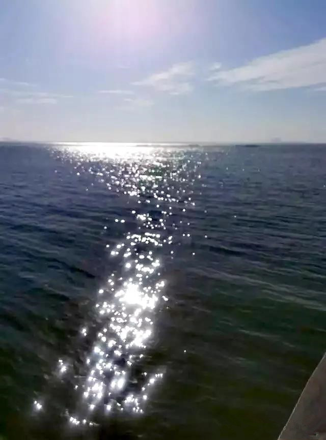 团泊洼的秋天的阅读感悟,团泊洼的秋天朗诵视频